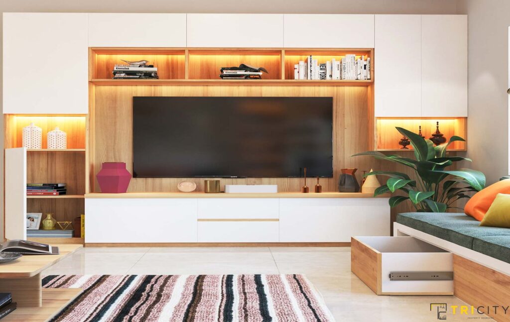 Fancy wood TV showcase design