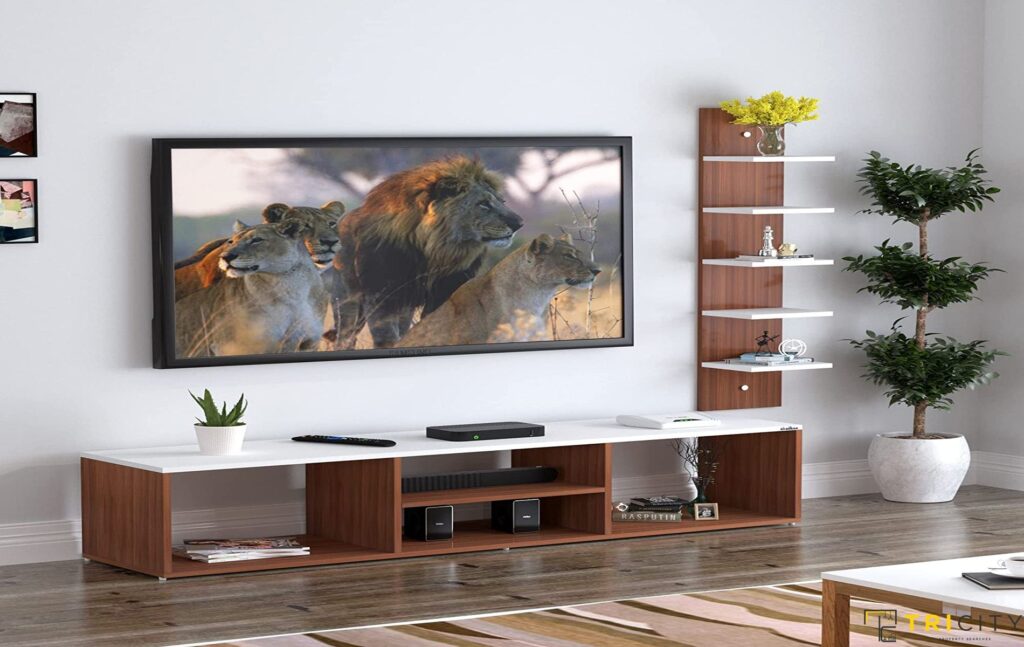 Wood TV showcase design for living room