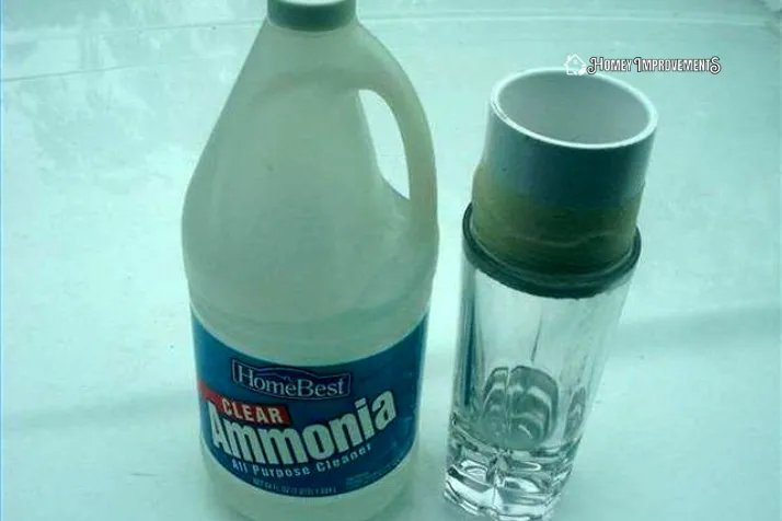 Ammonia and Water Solution