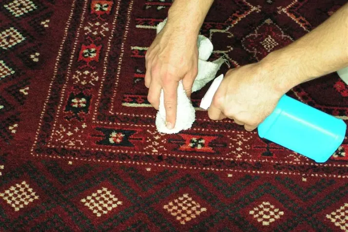 Apply the Vinegar Solution on silk rug