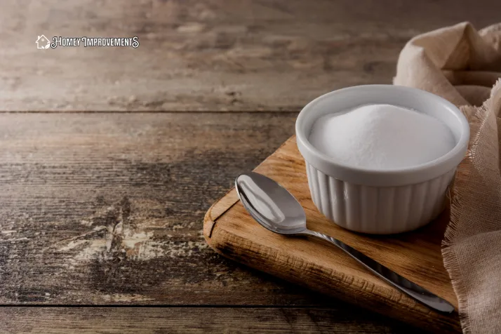 Baking Soda Solution to get dog pee out of wood floor