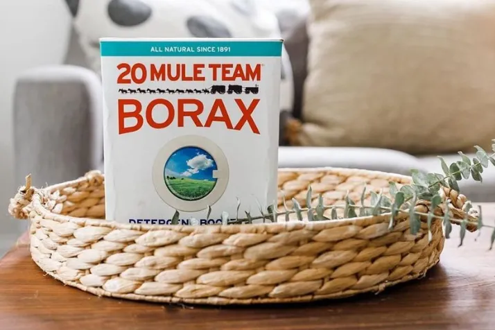 Borax Toilet Cleaner