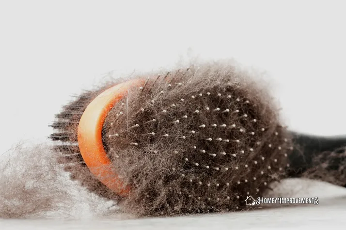 Brush Your Dog’s Hair Before They Enter the Car