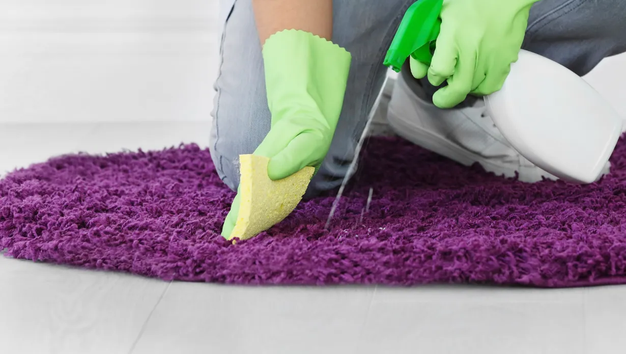 Clean a Polyester Rug