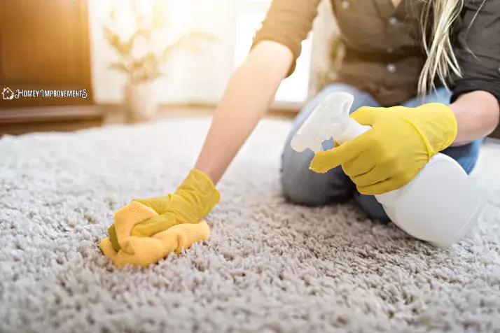 Clean a Shag Rug