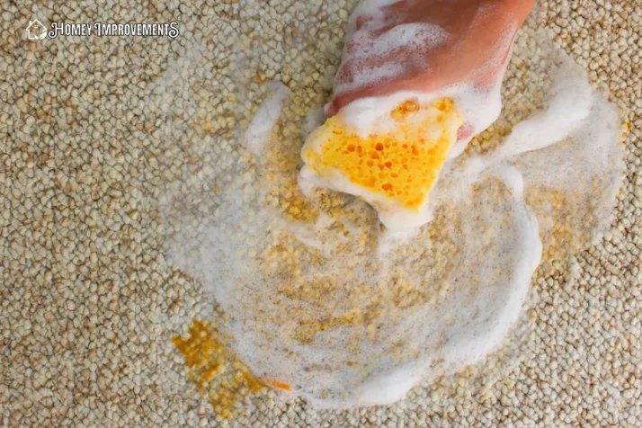 Clean Dried Slime Out Of Carpet