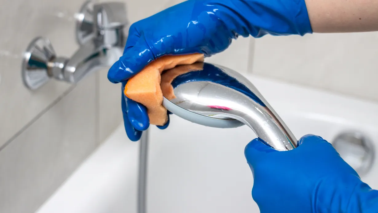 Clean Shower Head with Vinegar