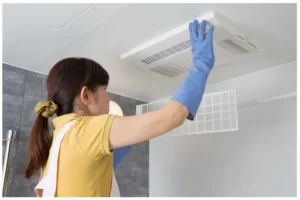 Cleaning Bathroom Fan