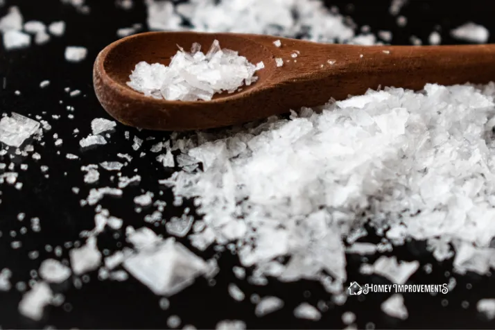 Cleaning Shower Tiles with Salt