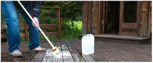 Cleaning Bird Poop Off Deck – 3 Easy Steps