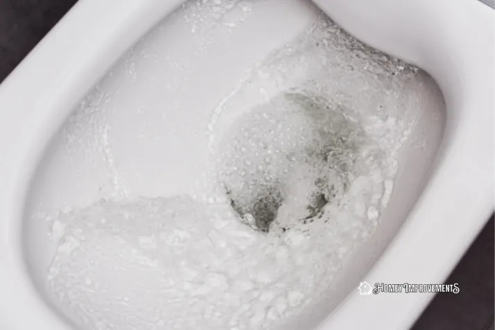 Drain a Toilet After Turning Off the Water