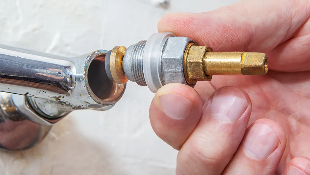 Fix a Leaky Shower Faucet