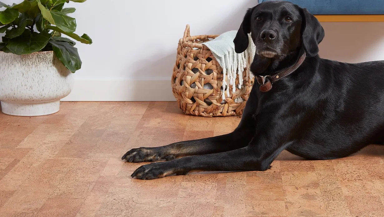 Flooring for Dogs