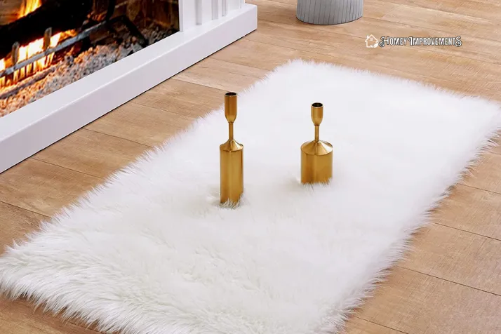 Fur and Sheepskin Rugs