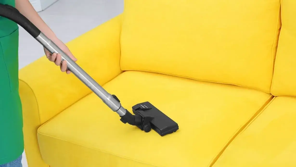 steam clean a couch