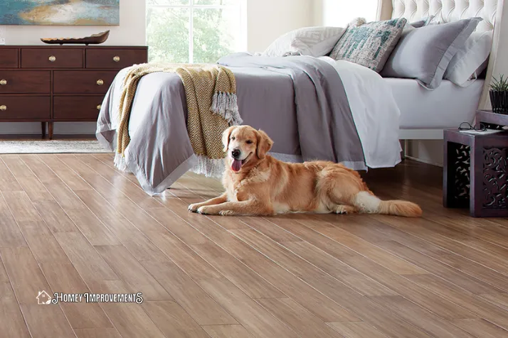 Laminate Flooring for Dog