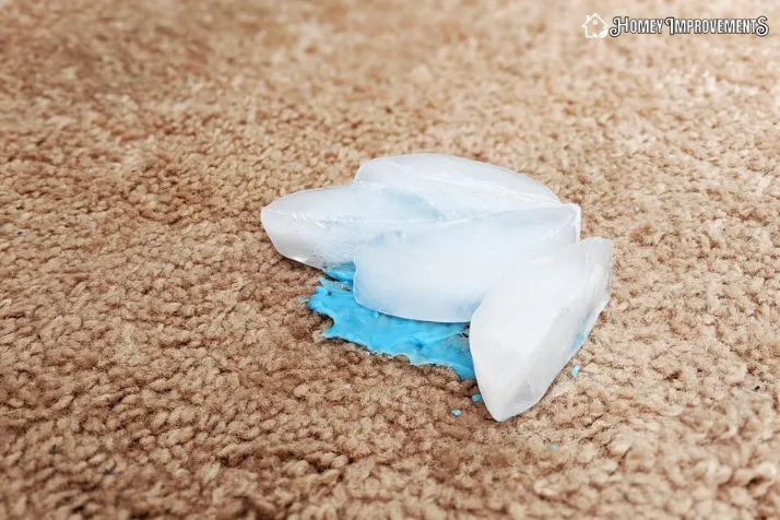 clean Wet Slime Out Of Carpet