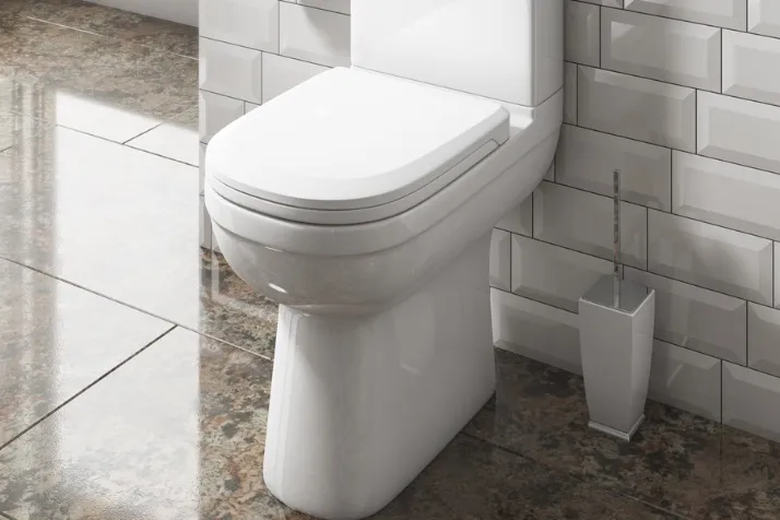 Overall Appearance of a toilet