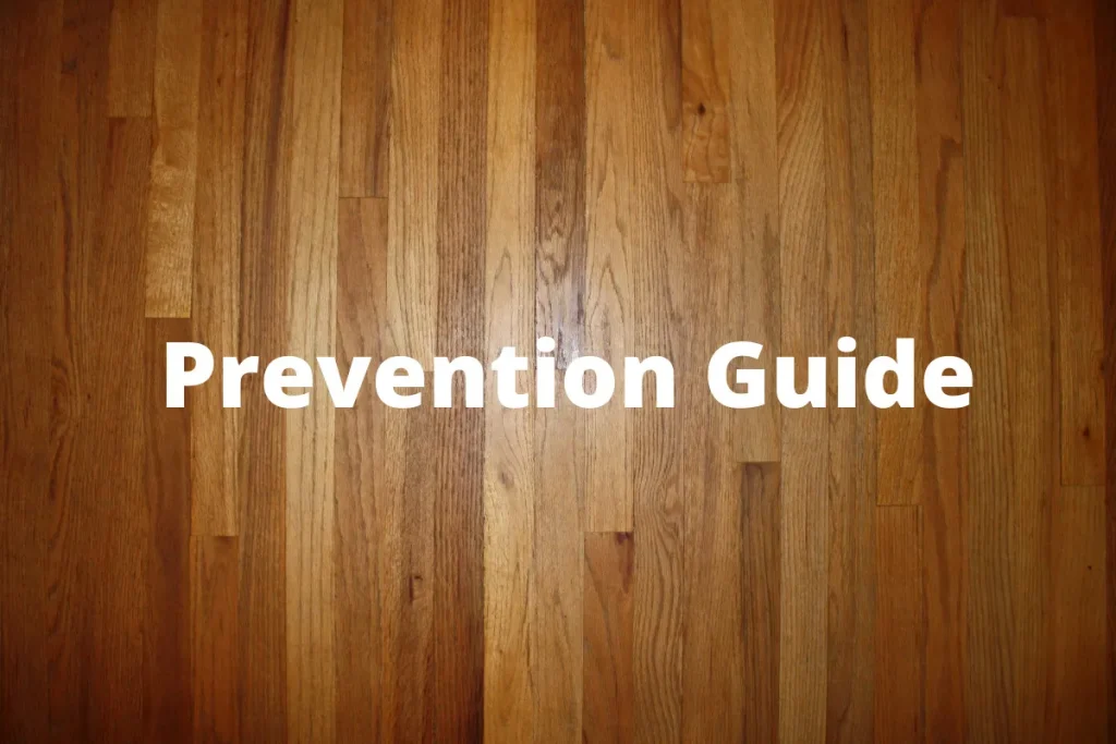 Prevention Guide for scratches