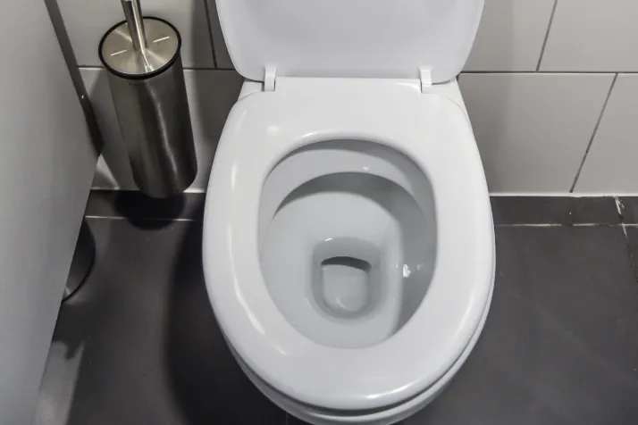 Right Bowl Shape of a Toilet