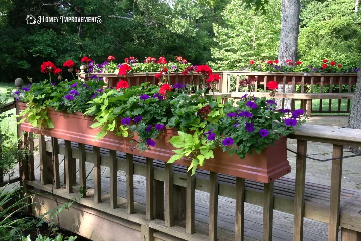 Showcase Window Planters