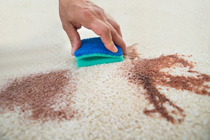 sponge for cleaning spills on rug