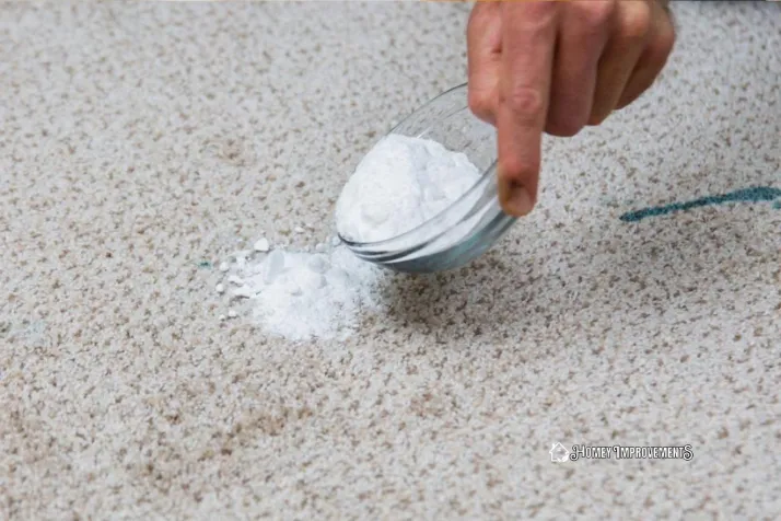 Sprinkle carpet with Baking Soda