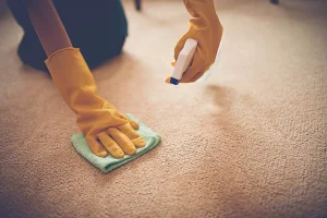 get vomit out of carpet