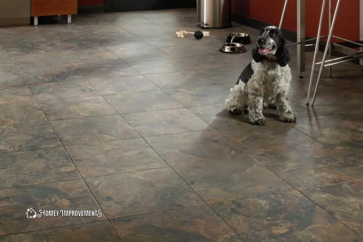 Tile and Stone Flooring for Dog