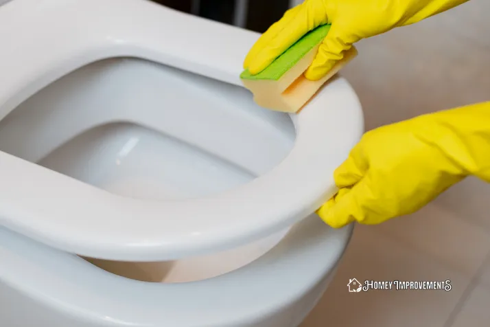 Toilet Cleaning