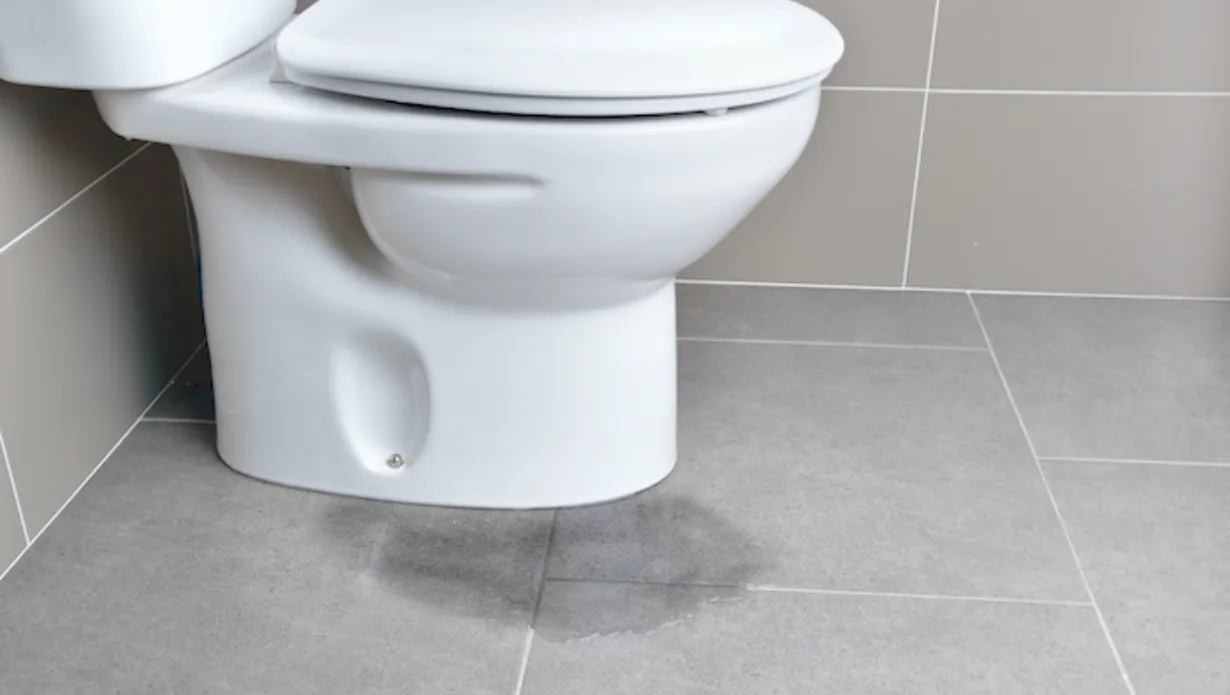 Toilet Leaks When Flushed