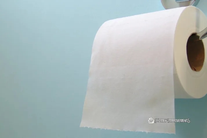 Toilet Paper