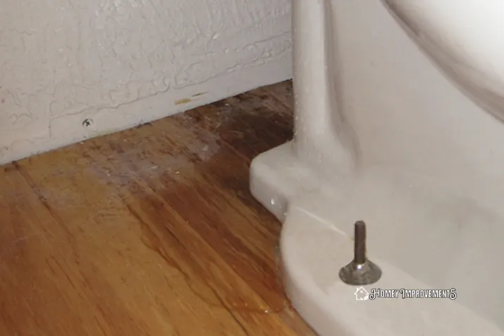 Toilet Seal Leaking