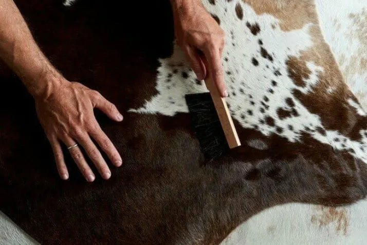 Use a Brush to Clean the Rug