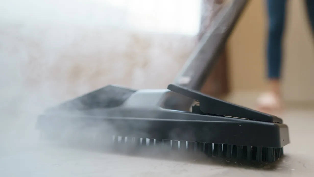 Use a Steam Mop to Clean Floors