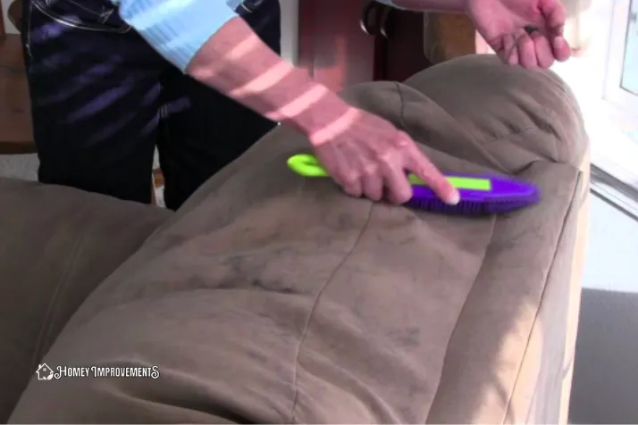 Use the Brush to Pick Pet Hair from polyester couch