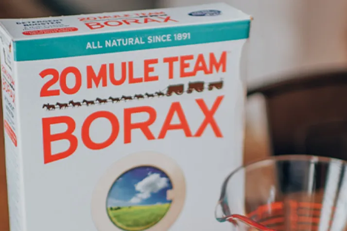 Using Borax as Bathroom Mold Removal