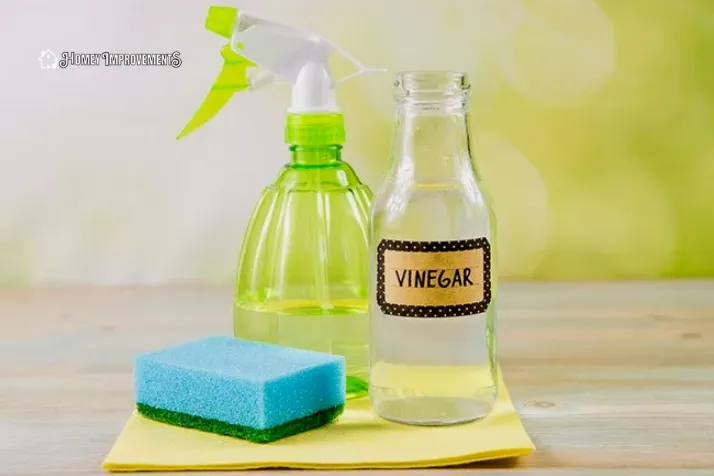 Vinegar is Best for Mildew