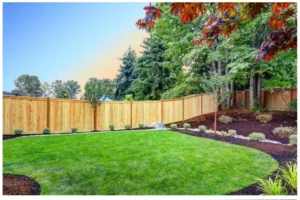 Why Backyards are Necessary for Family Health